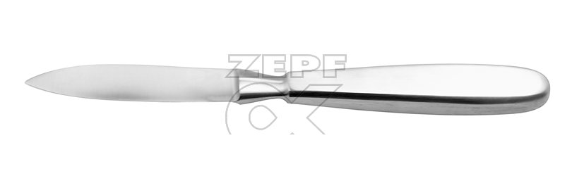 06-4310-09 06-4310-09  ~ Phalangen Messer Klinge 9,5 cm 23,5 cm ~