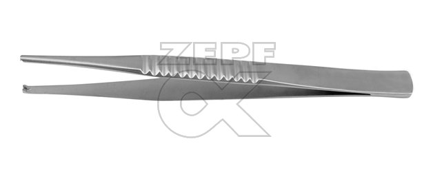 10-1650-18 10-1650-18  ~ TREVES Pinzette 1 x 2 Zähne 18 cm ~