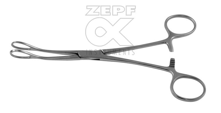 16-1703-20 16-1703-20  ~ FÖRSTER Schwamm Zange glatt ~