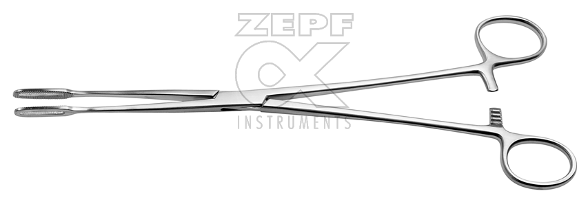 16-1802-25 16-1802-25  ~ FLETCHER (JAVERTS) Schwammzge. ~