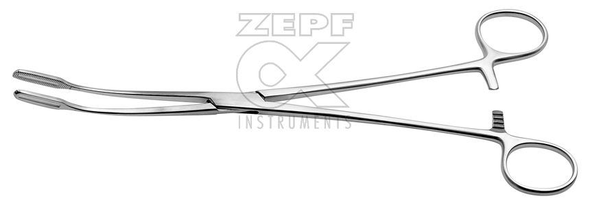 16-1803-25 16-1803-25  ~ FLETCHER (JAVERTS) Schwammzge. ~