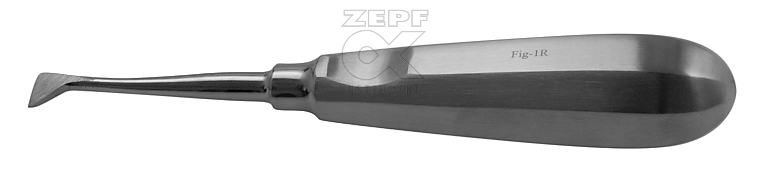 82-0001-08 82-0001-08  ~ SELDIN Wurzelheber Standard Fig. 1 R ~