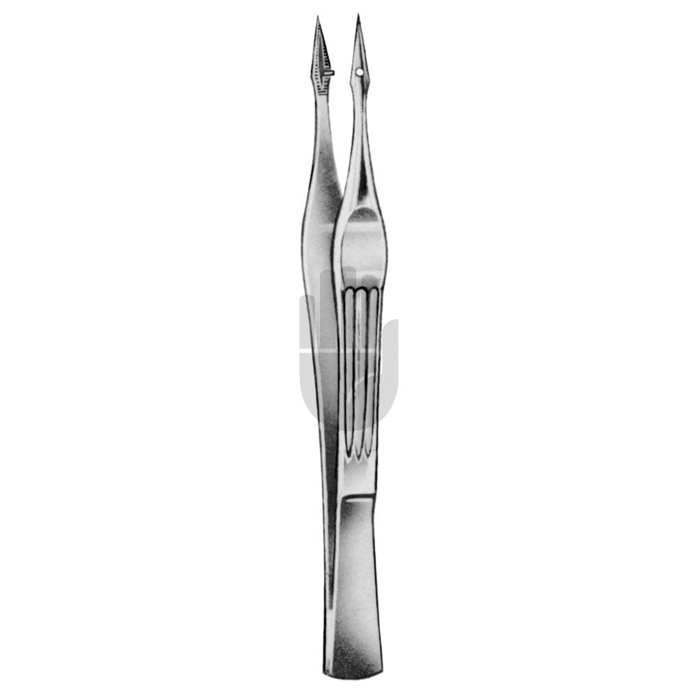 HB0476 HB0476  ~ Splitterpinzette, Walter- Carmalt, gerade, 10,5cm ~