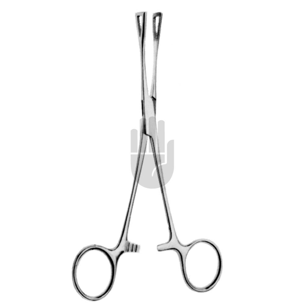 HB0636 HB0636  ~ Pennington Arterienklemme, 15cm ~