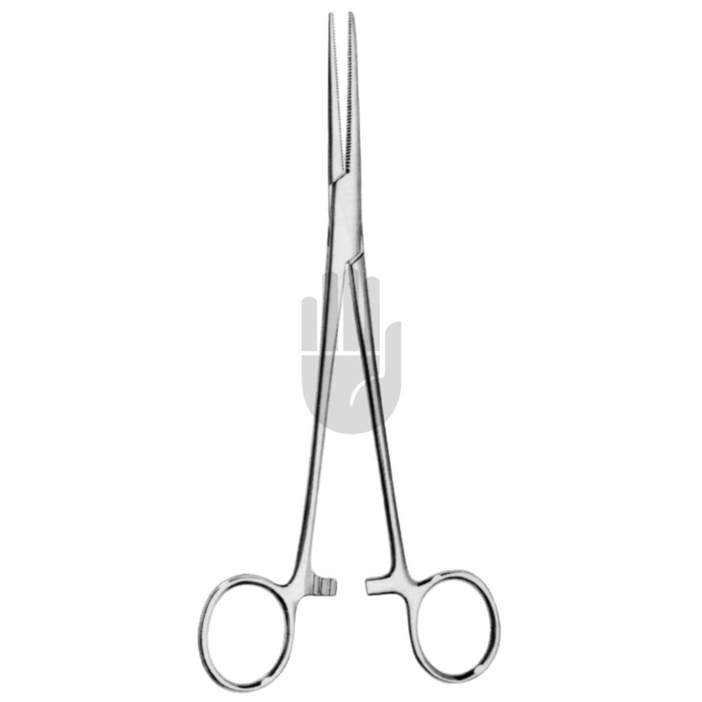 HB0644 HB0644  ~ Heiss Arterienklemme, Fig.1, 20cm ~