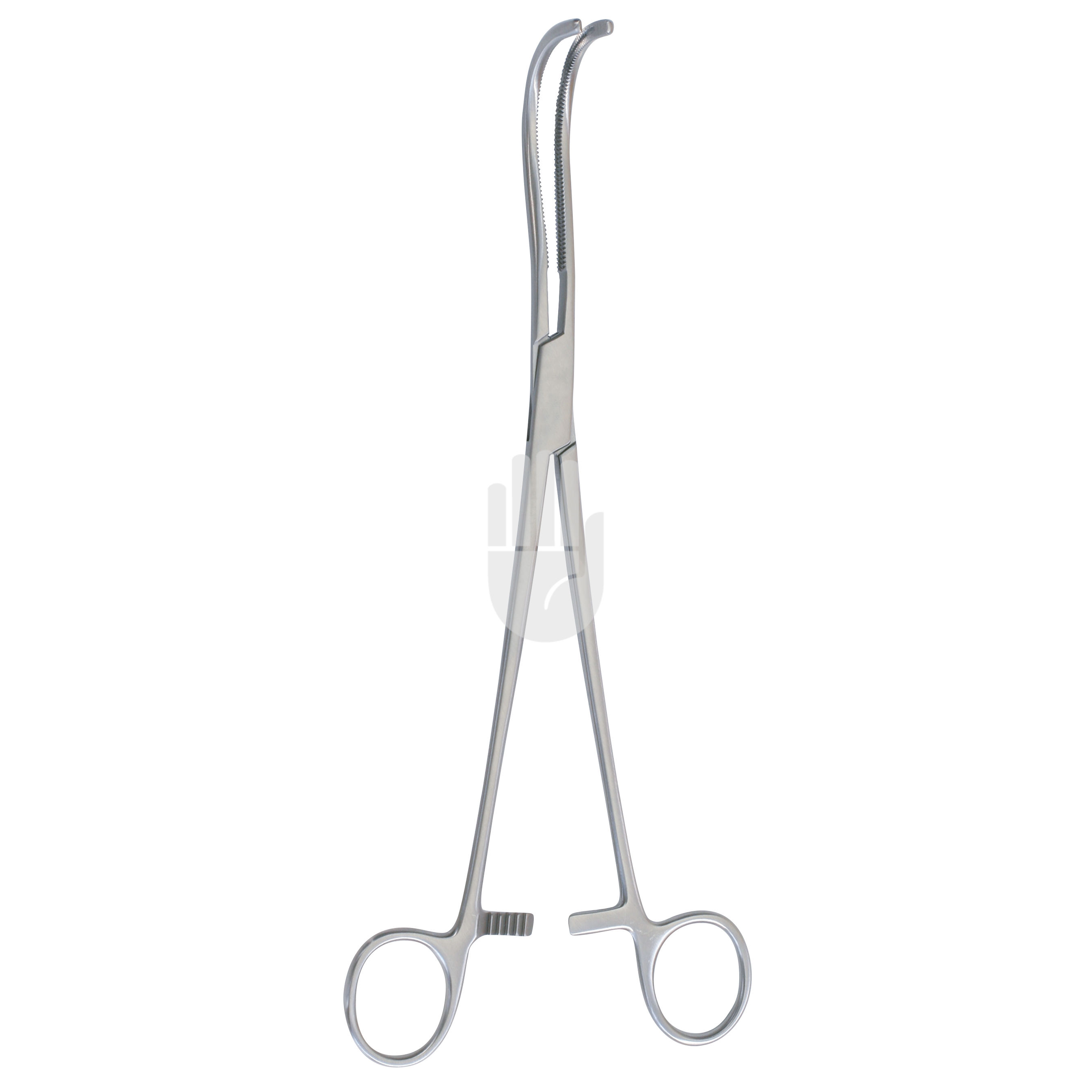 HB0695-02 HB0695-02  ~ Mayo Nierenstielklemme, 25,5cm ~