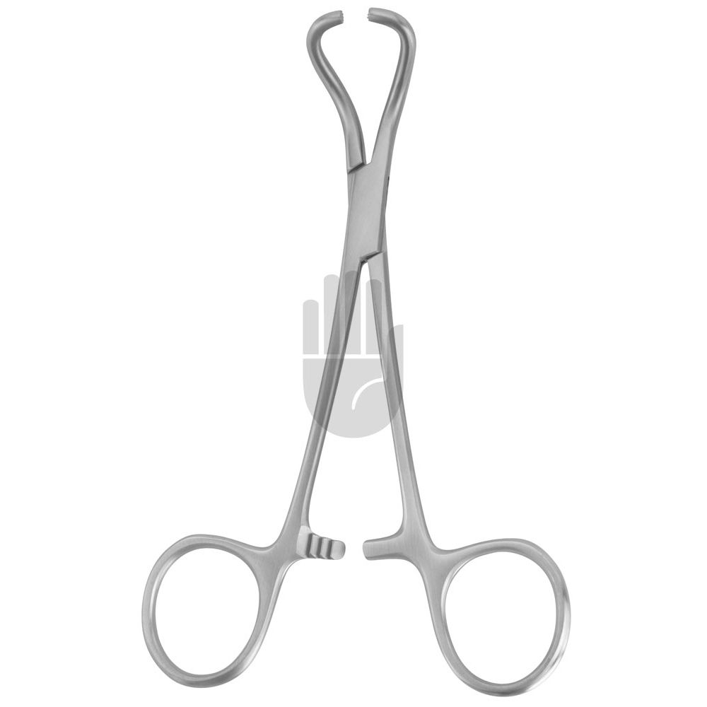 HB0769-13 HB0769-13  ~ Tohoku Tuchklemme 13 cm ~