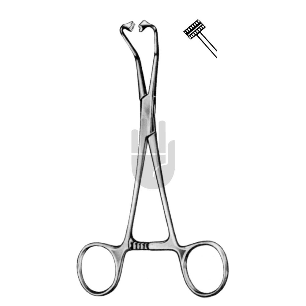 HB0770 HB0770  ~ Peers Tuchklemme, gebogen, 14,5cm ~