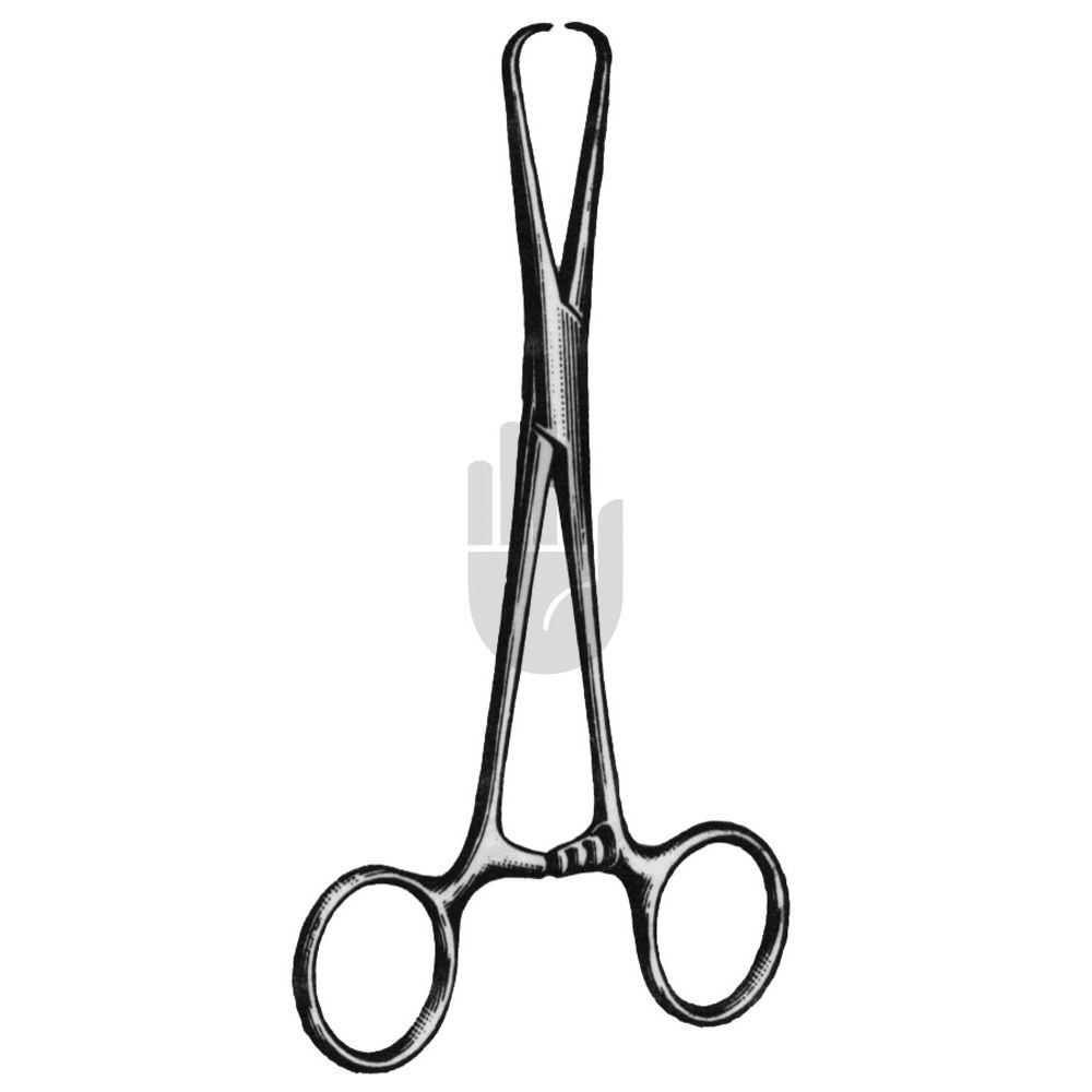 HB0778 HB0778  ~ Bernhard Tuchklemme, 16cm ~