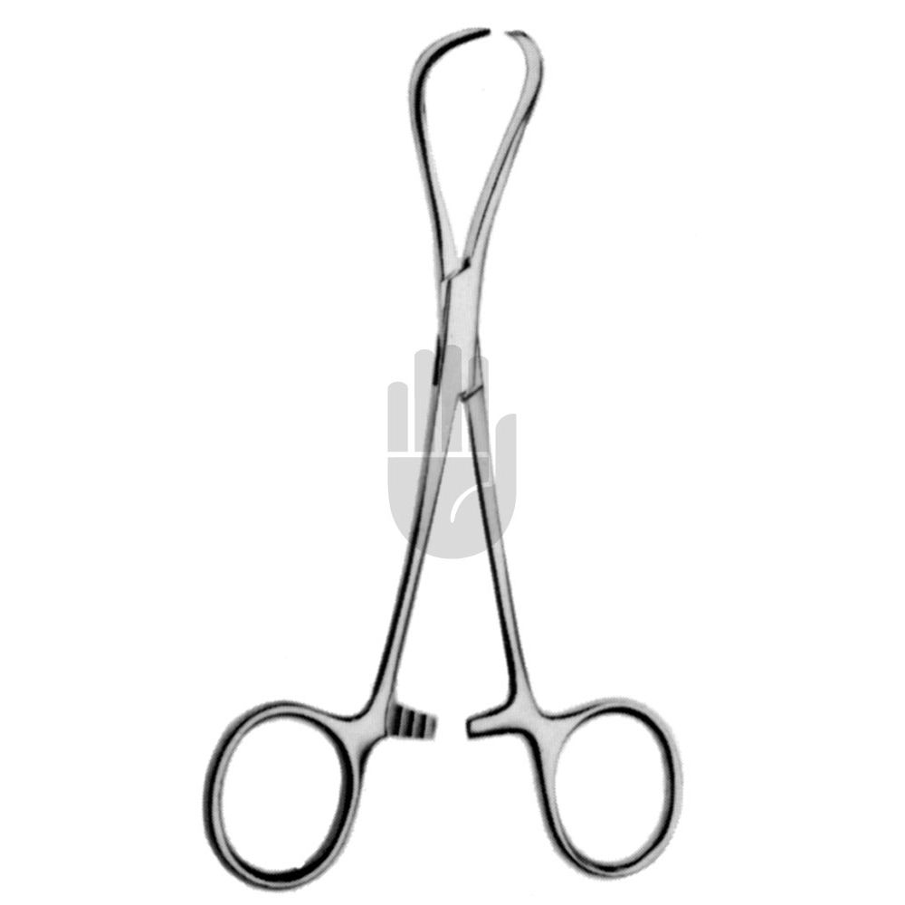 HB0781 HB0781  ~ Lorna Tuchklemme, 10cm ~