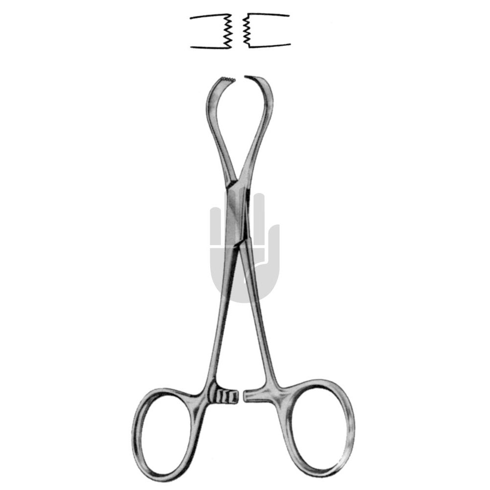 HB0783 HB0783  ~ Ombredanne Tuchklemme, 13,5cm ~