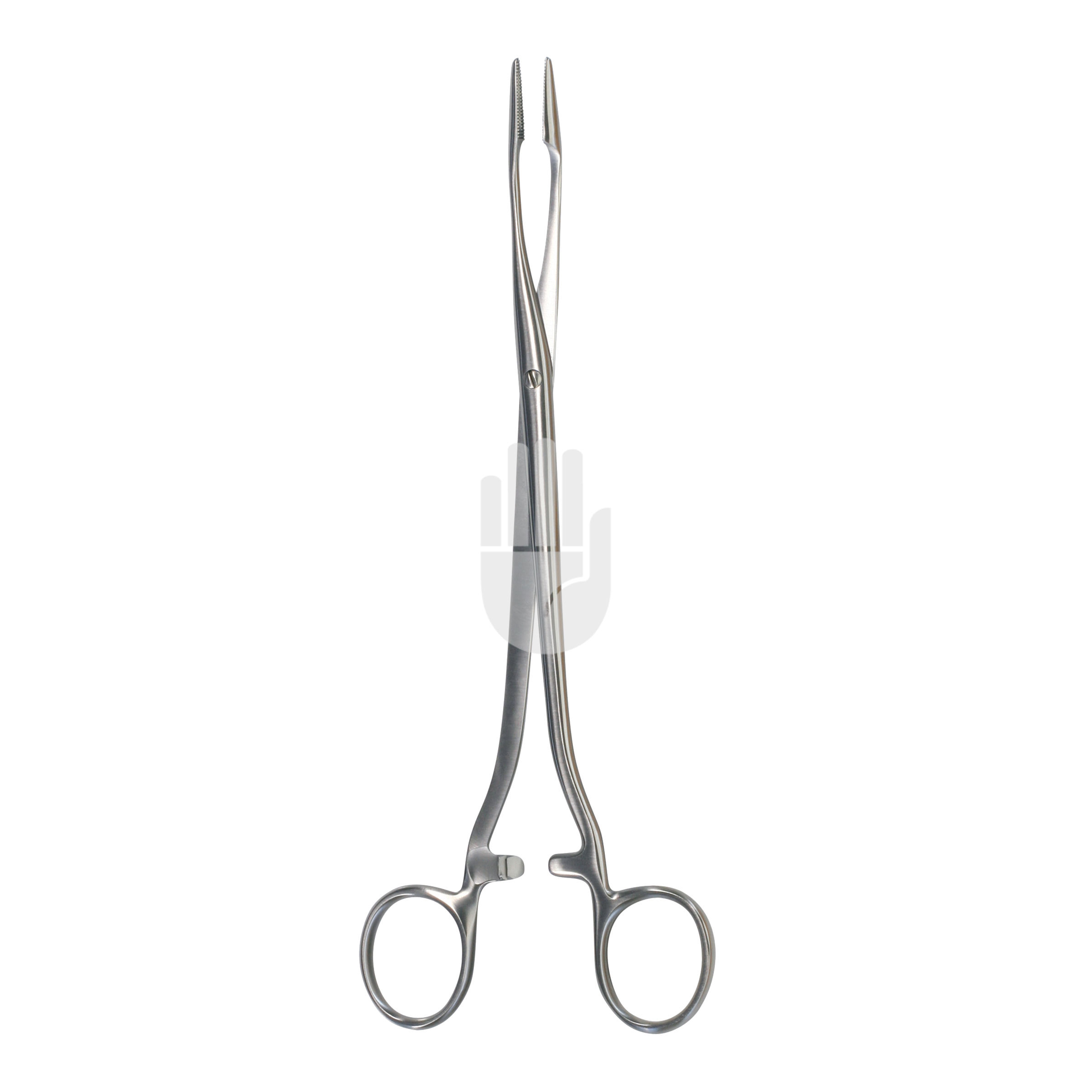 HB0817-02 HB0817-02  ~ Kornzange, 21 cm ~