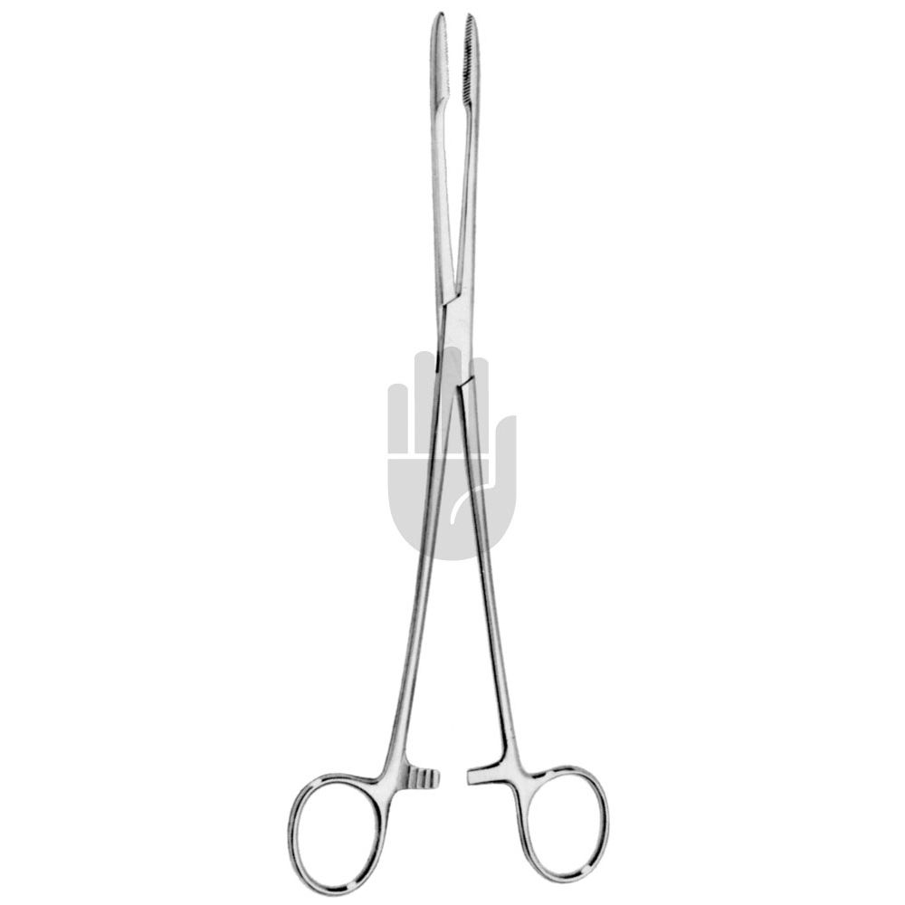 HB0855 HB0855  ~ Maier Kornzange, gerade, 22cm, mit Sperre ~