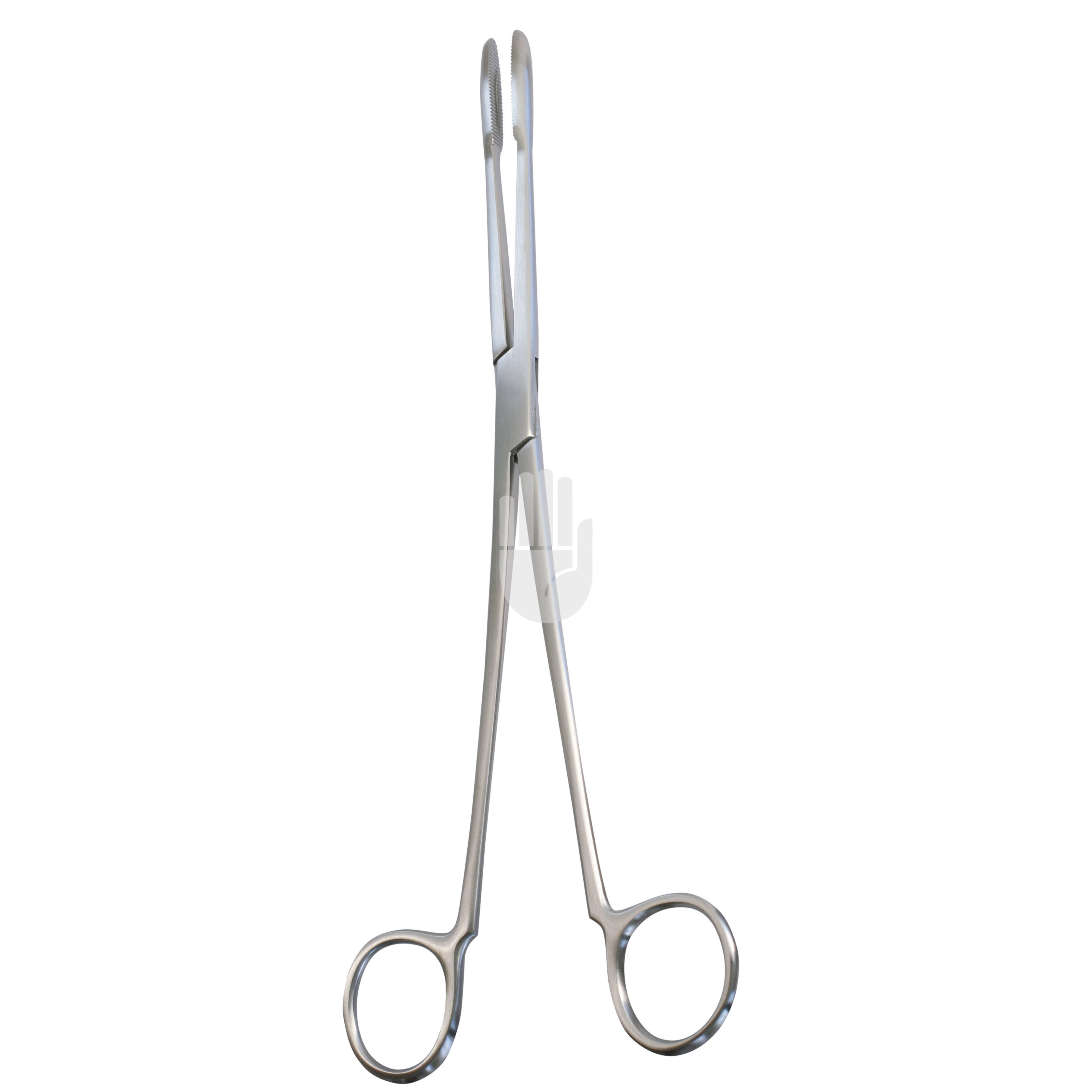 HB0856-01 HB0856-01  ~ Maier Kornzange, ohne Sperre, gerade, 25,0cm ~