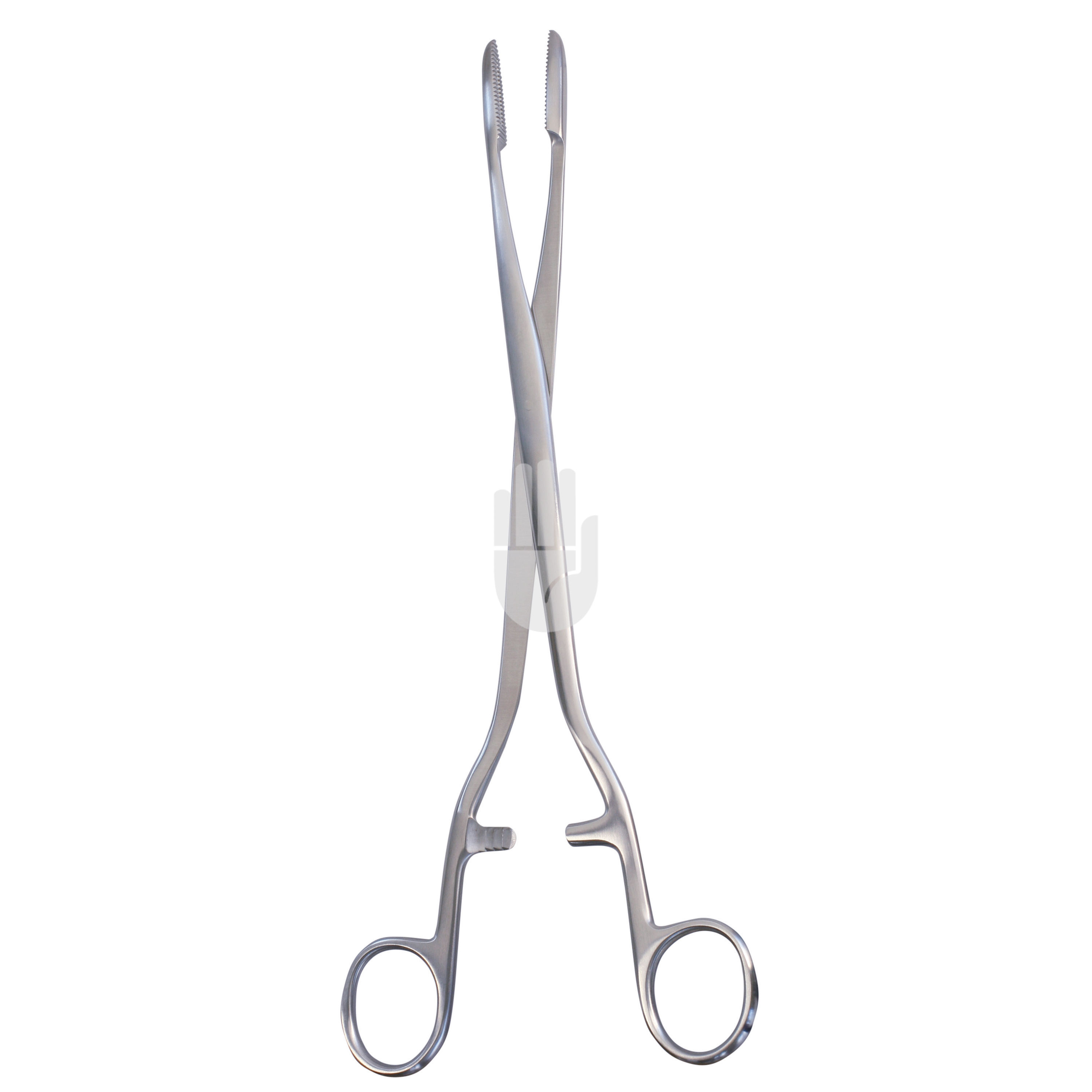 HB0859-01 HB0859-01  ~ Sims Maier Polypenzange, gerade, 28,0cm ~