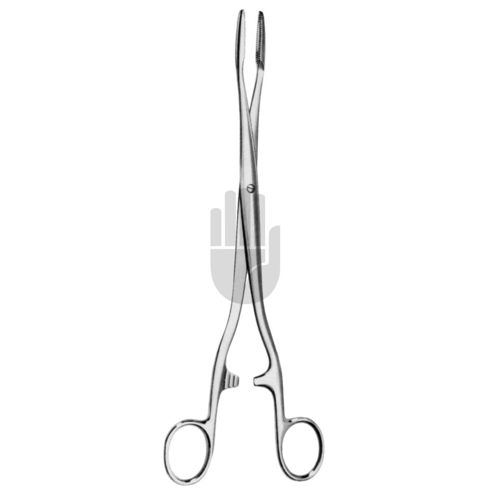 HB0862 HB0862  ~ Duplay Kornzange, gebogen, 28cm ~