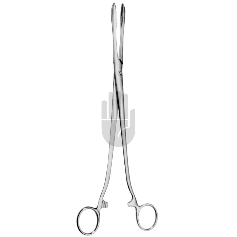 HB0871 HB0871  ~ Collin Tupferzange, 25cm ~