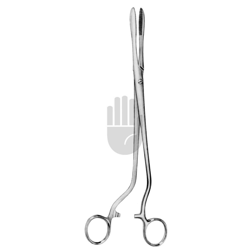 HB0873 HB0873  ~ Cheron Tupferzange, 26cm ~