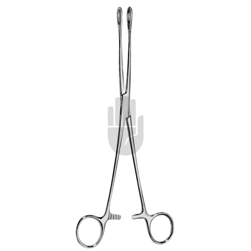 HB0889 HB0889  ~ Foerster Schwammzange, gebogen, glatt, 25cm ~