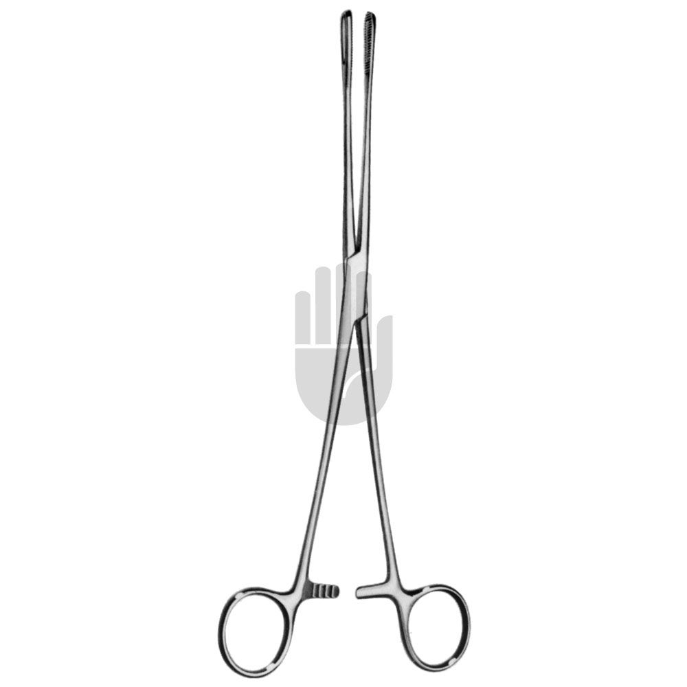 HB0894 HB0894  ~ Foerster Schwammzange, gebogen, schmal, 25cm ~