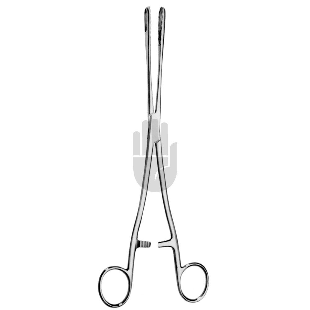 HB0898-18 HB0898-18  ~ Rampley Schwammzange, gebogen, 18cm ~