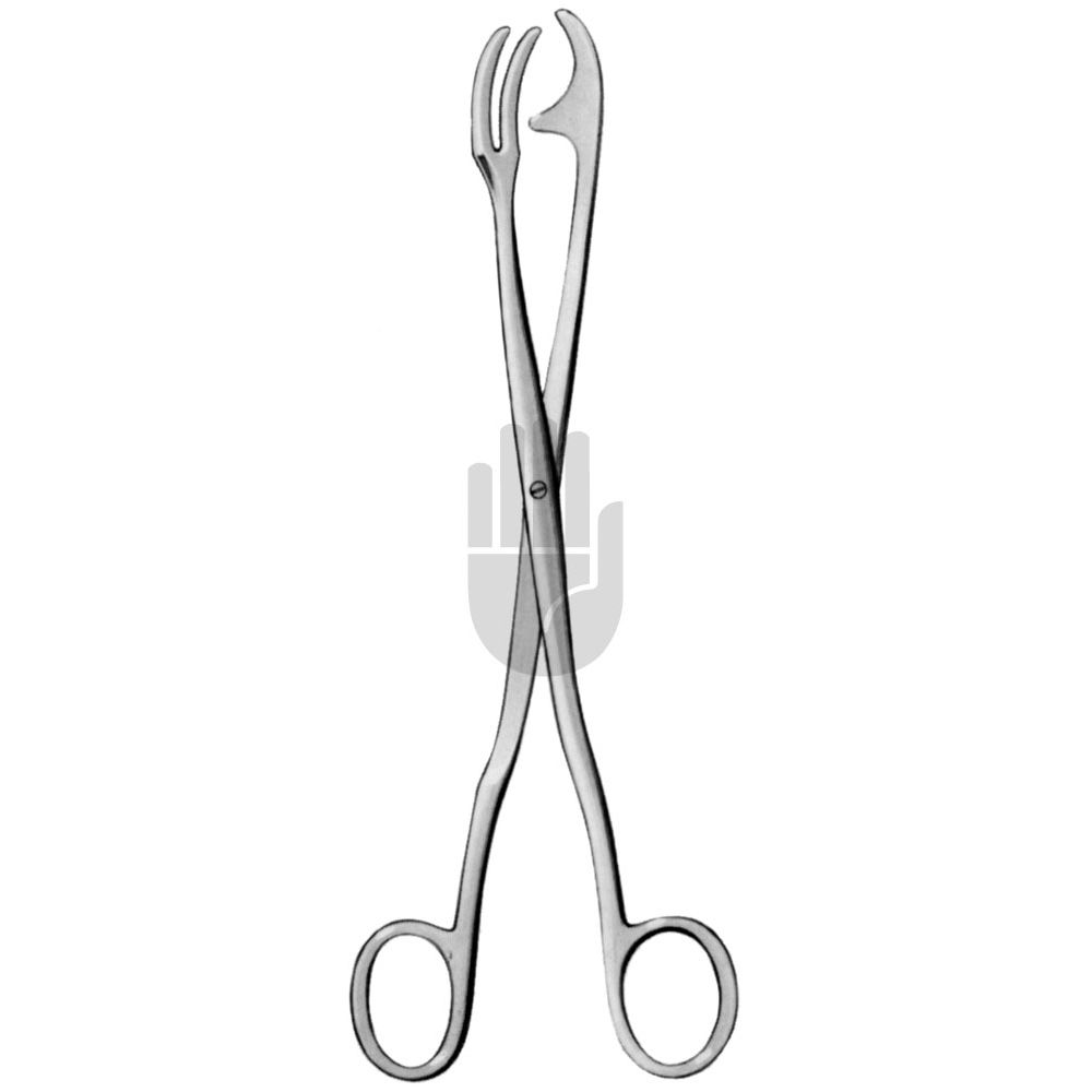 HB0910 HB0910  ~ Rogge Sterilisierzange, 23cm ~