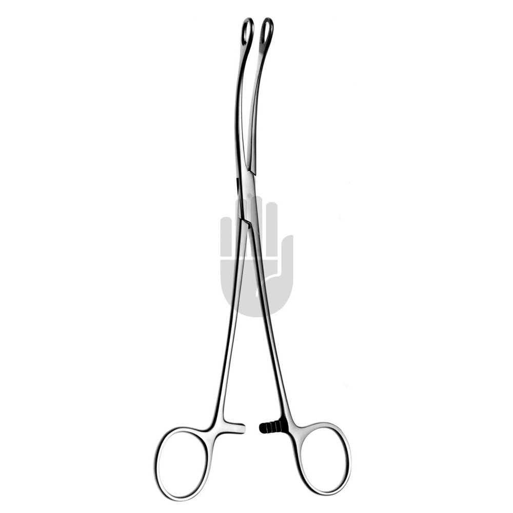 HB1205-20 HB1205-20  ~ Laufe Hämorrhoidalfaßzange, 20cm ~