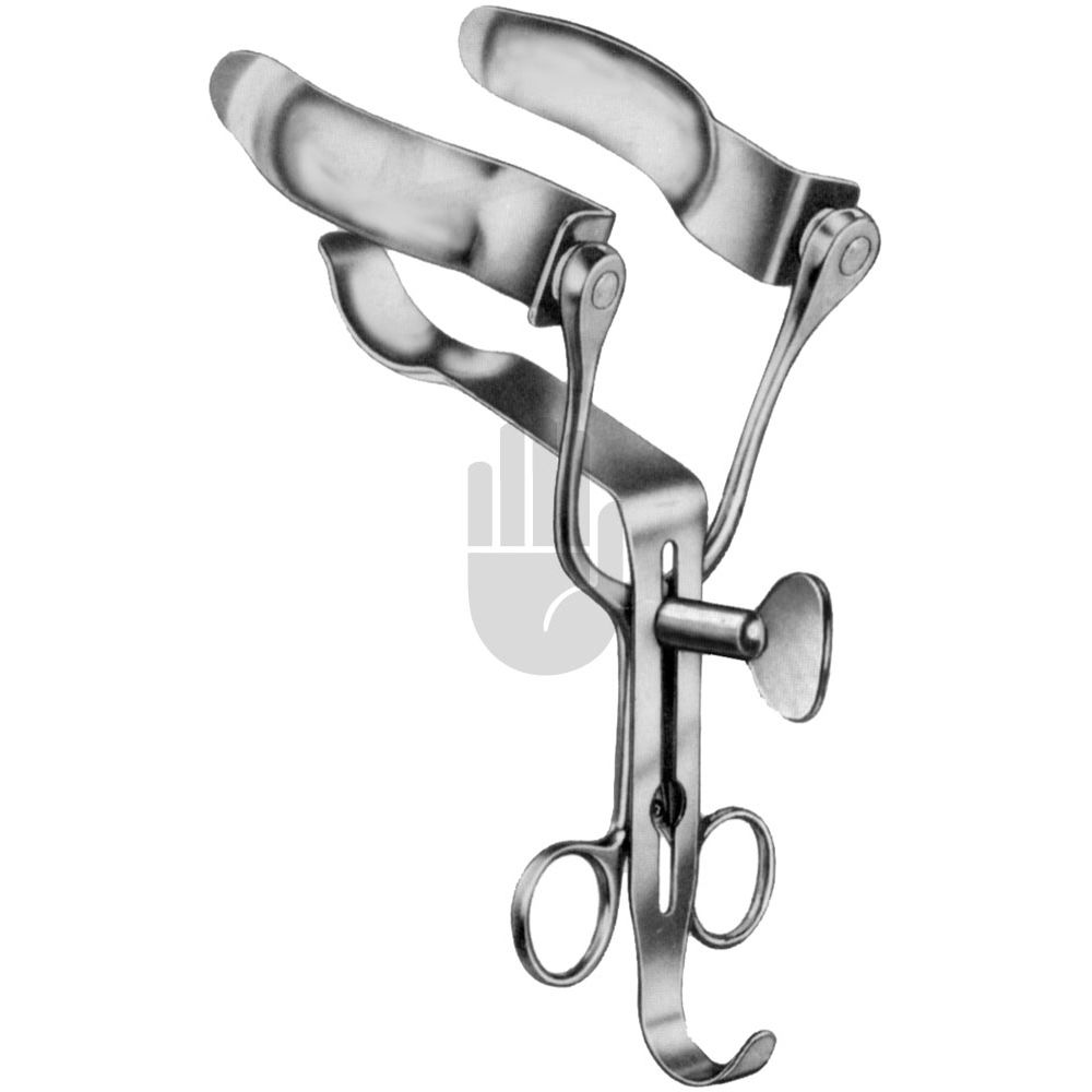 HB1220-02 HB1220-02  ~ Mittelblatt allein ~