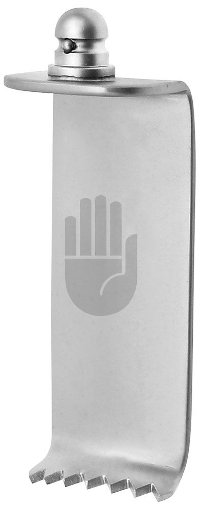 HB1583-04 HB1583-04  ~ Blatt, Stahl, 55x23mm ~