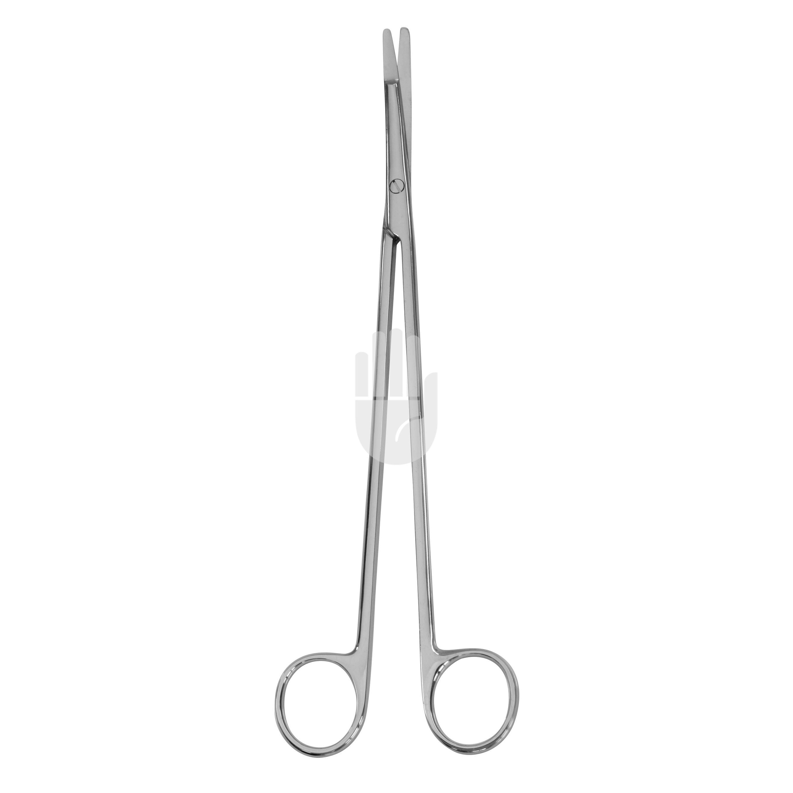 HB1859 HB1859  ~ Calcified Schere, gebogen, 23cm ~