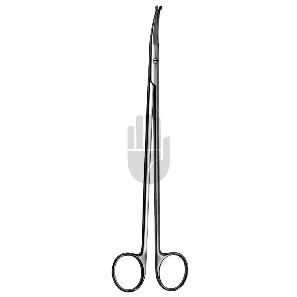 HB1931 HB1931  ~ Strully Gefäßschere, 20cm ~