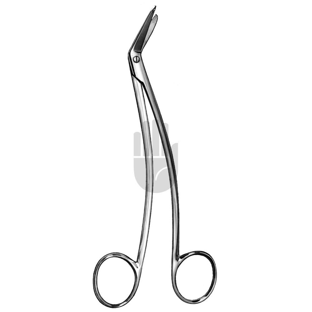 HB1933 HB1933  ~ Schmieden Gewebeschere, 17cm ~