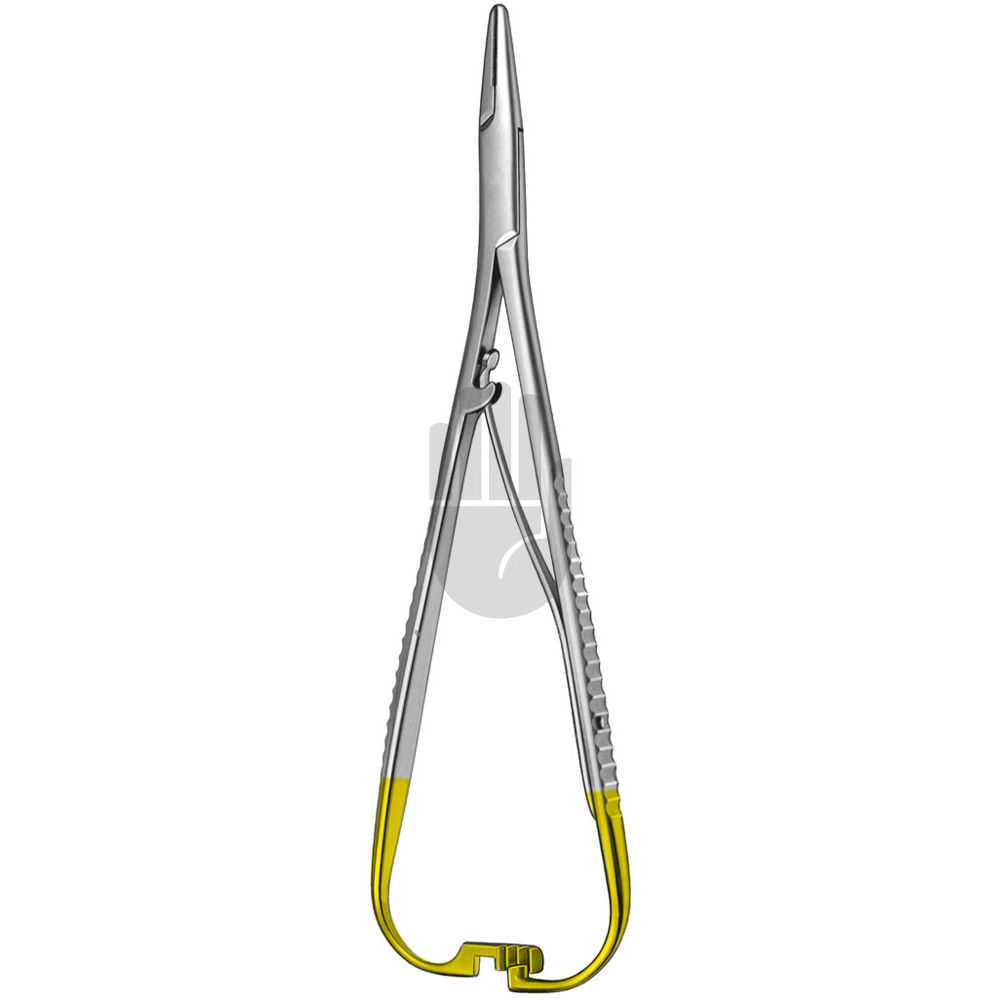 HB2223 HB2223  ~ Mathieu Nadelhalter, HM, 17cm ~