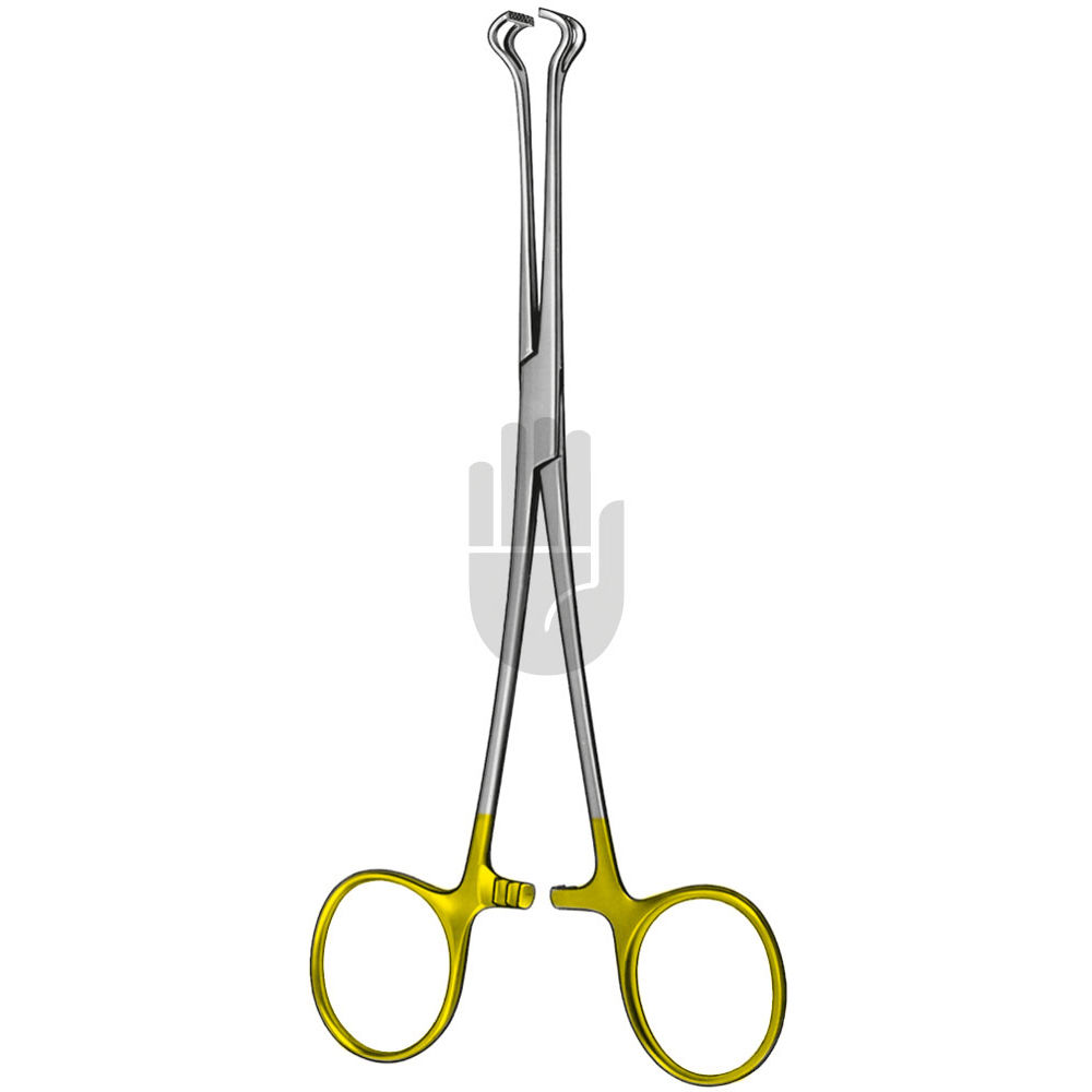 HB2256 HB2256  ~ Babcock Gewebefaßzange, HM, 20cm ~