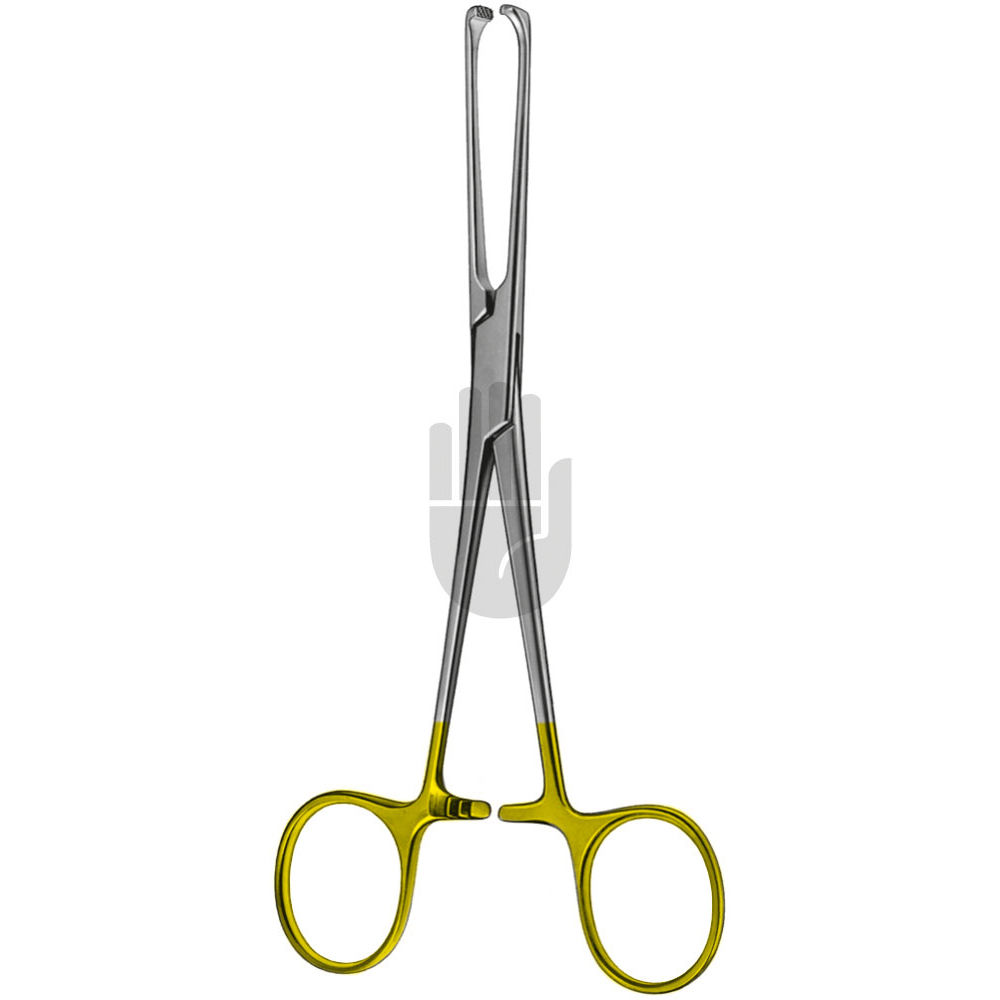 HB2258 HB2258  ~ Allis Gewebefaßzange, HM, 19cm ~