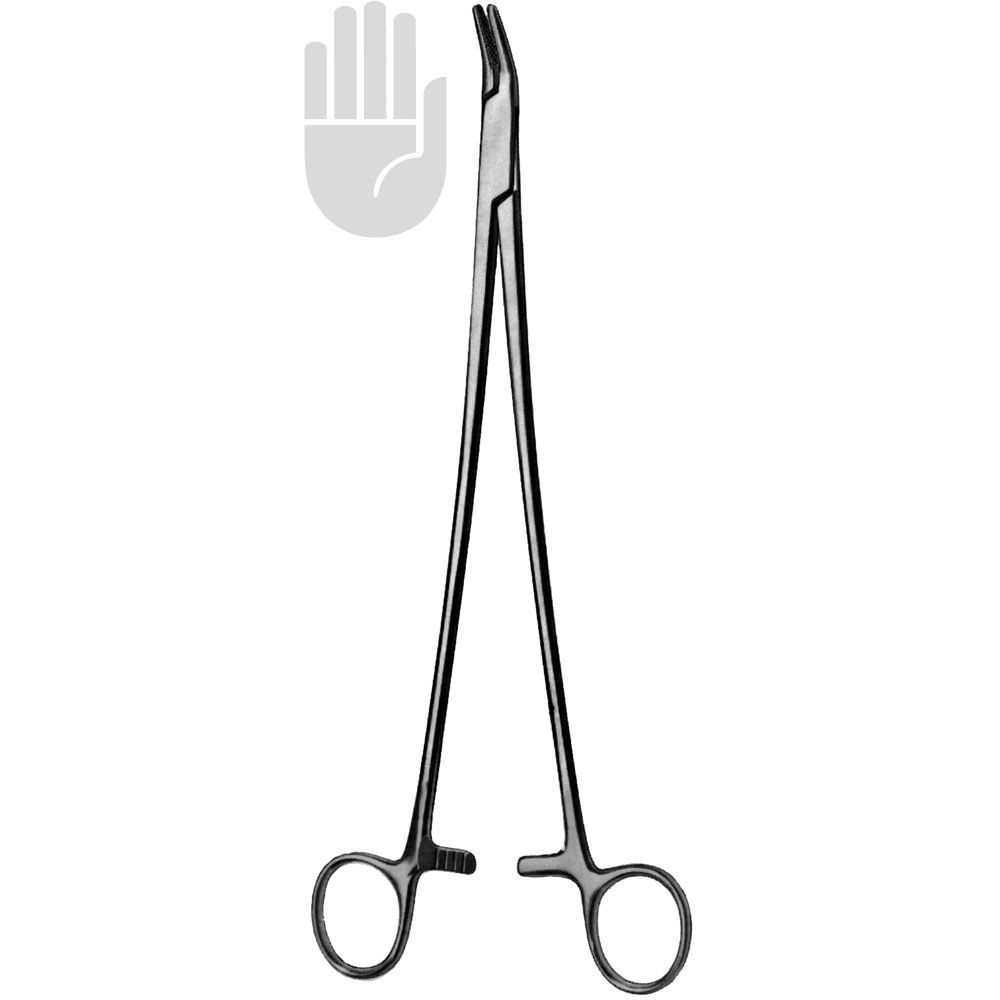 HB2377 HB2377  ~ Finocchietto Nadelhalter, 27cm ~