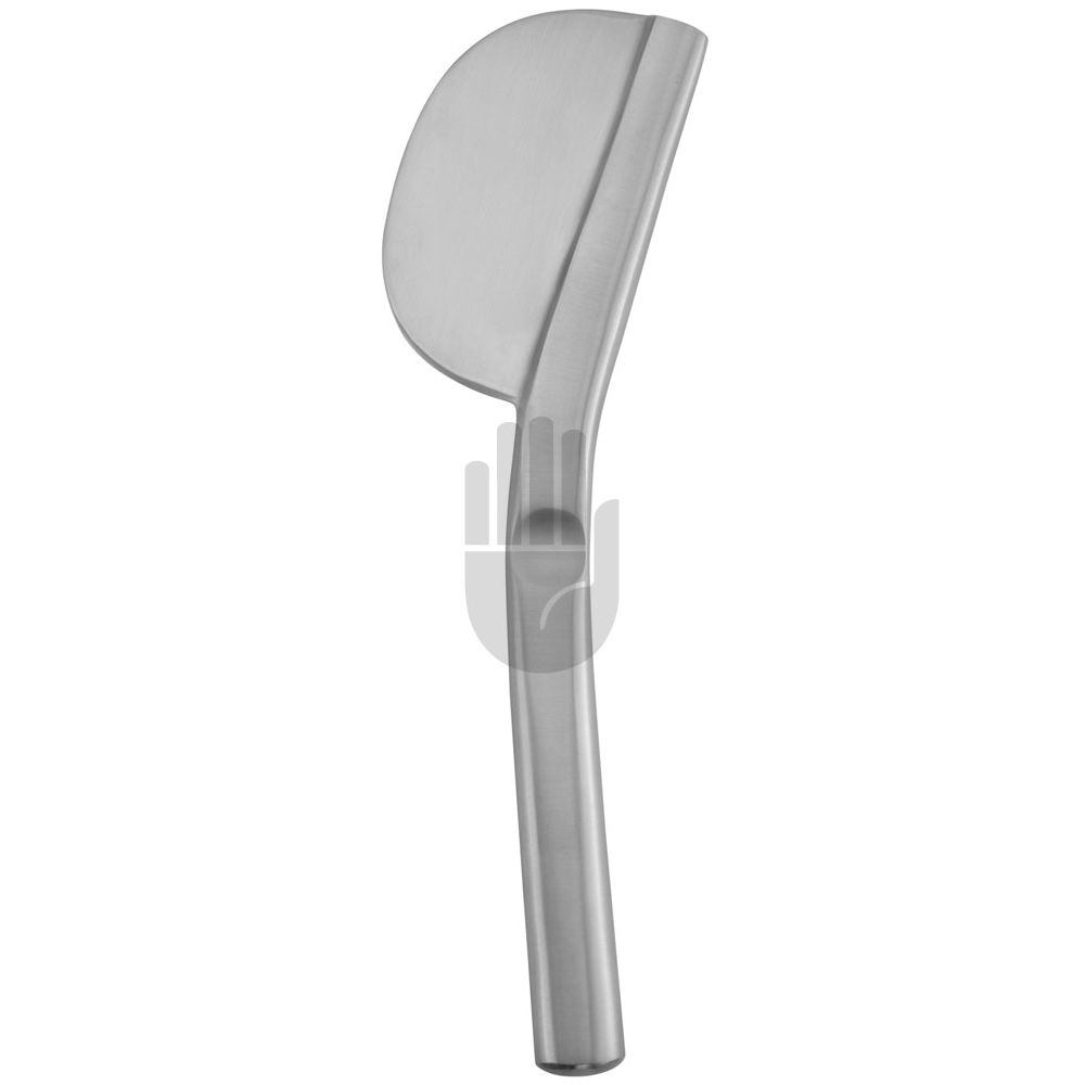 HB3497-41 HB3497-41  ~ Rhachiotom, 22cm ~