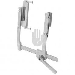 HB3895. HB3895.  ~ Mammaria Rippensperrer mit 2 Paar Blätter ~