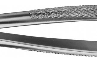 DG006R  ~ ANATOMICA ZAHNZANGE #1 OBERKIEFER ~