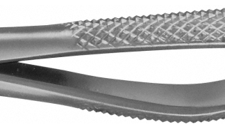 DG331R  ~ ANATOMICA ZAHNZANGE #76N OB.WURZELN ~