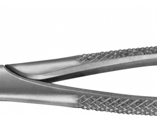 DG541R  ~ ANATOMICA ZAHNZANGE ROUTURIER LI. ~