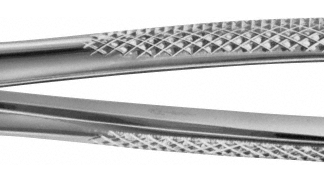 DH779R  ~ ANATOMICA ZAHNZANGE BUECHS #79A ~