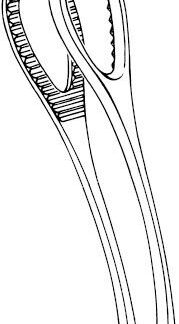 14-355-18-07  ~ ZANGE, FÖRSTER, GERIEFT, GEB., 18 CM ~