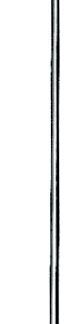 16-130-10-07  ~ Sonde, Ohr, Stacke,   1,0 mm, 10 cm ~