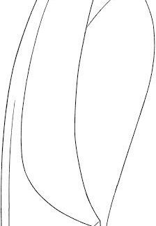 21-223-26-07  ~ GIPSSCHERE, BRUNS, UNGEZAHNT, 24 CM ~