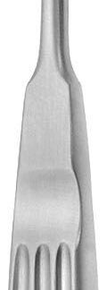 23-412-20-07  ~ Raspatorium, Cottle, geb., 19,5 cm ~