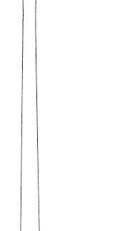 30-192-24-07  ~ DARMFASSZANGE, BABCOCK, 24 CM ~