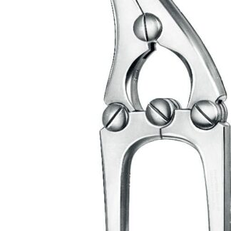 30-419-21-07  ~ DARMQUETSCHKLEMME, PAYR, 21 CM ~