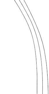 31-113-17-07  ~ NIERENSTEINZANGE, GEB., 17 CM ~