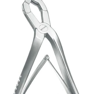 37-323-19-07  ~ SEPTUMZANGE, MIDDLETON, OFFEN, 20,5 CM ~